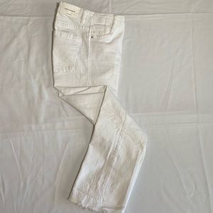 Zara Pants